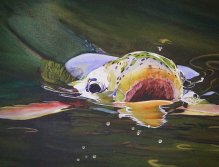Jaws