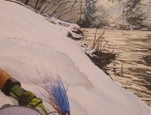 Winter Steelhead