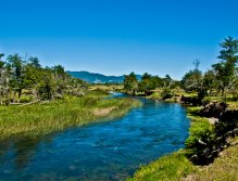 Exploring unknown spring creeks