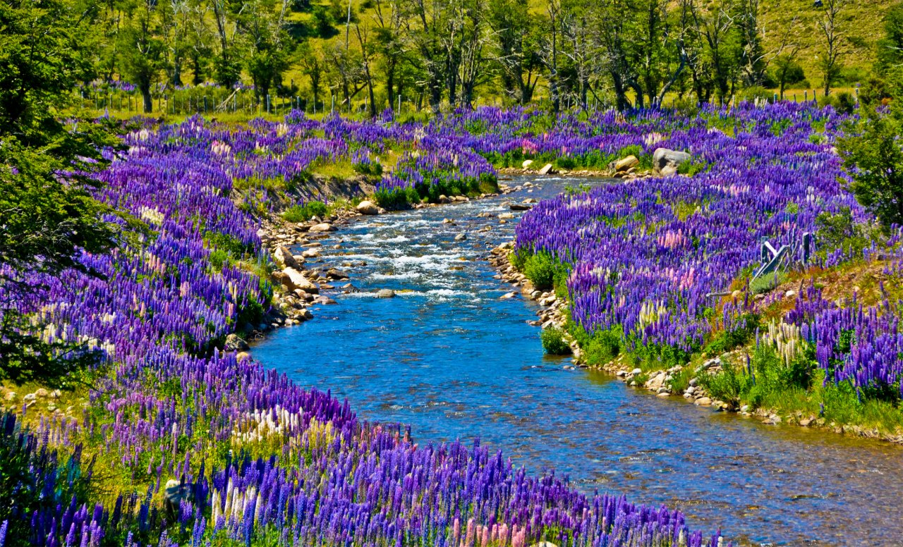 And paintings by Monet