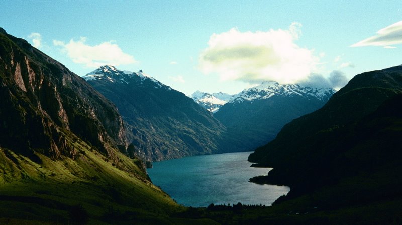 Where there is water, there are fish.(New Zealand)