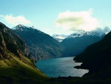 Where there is water, there are fish.(New Zealand)