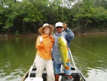 Peacock bass on the fly