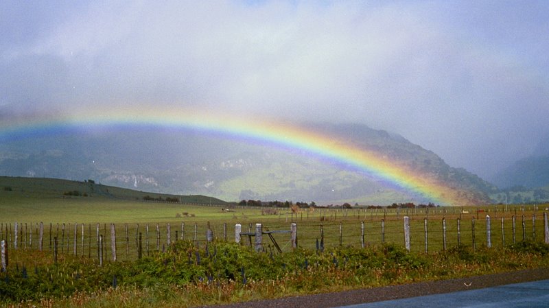Brown trout are found at the end of the rainbow.(Patagonia)