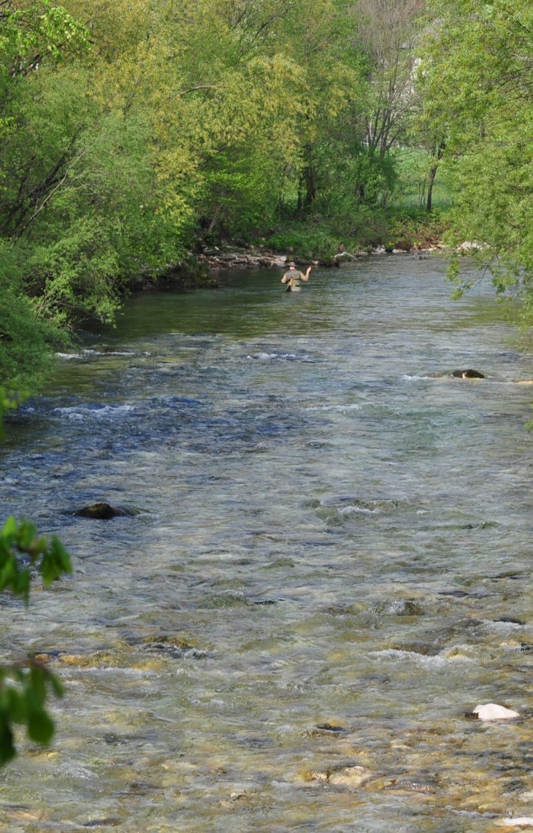 Fly Fishing, Radovna River, Slovenia