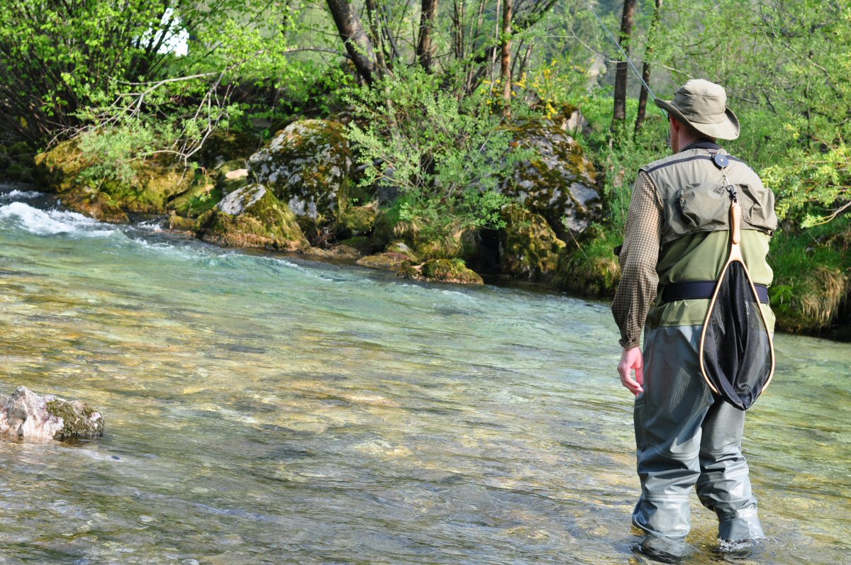 Fly Fishing, Radovna River, Slovenia