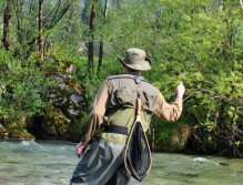 Fly Fishing, Radovna River, Slovenia