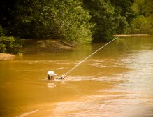 Wading small rivulets during summer