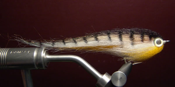 The great Ututu fly for Pir� Pit�