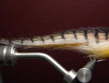 The great Ututu fly for Pirá Pitá