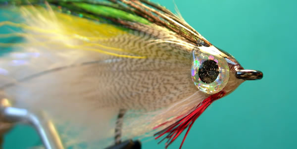 Great imitation of Mojarra and S�balo, representing the main food for Dorados