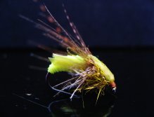 Pupa Caddis II.