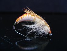 Pupa Caddis III.