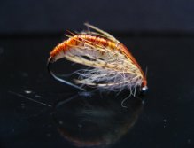 Pupa Caddis IV.