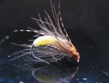 Pupa Caddis VI.