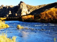 Patagonia in pursuit