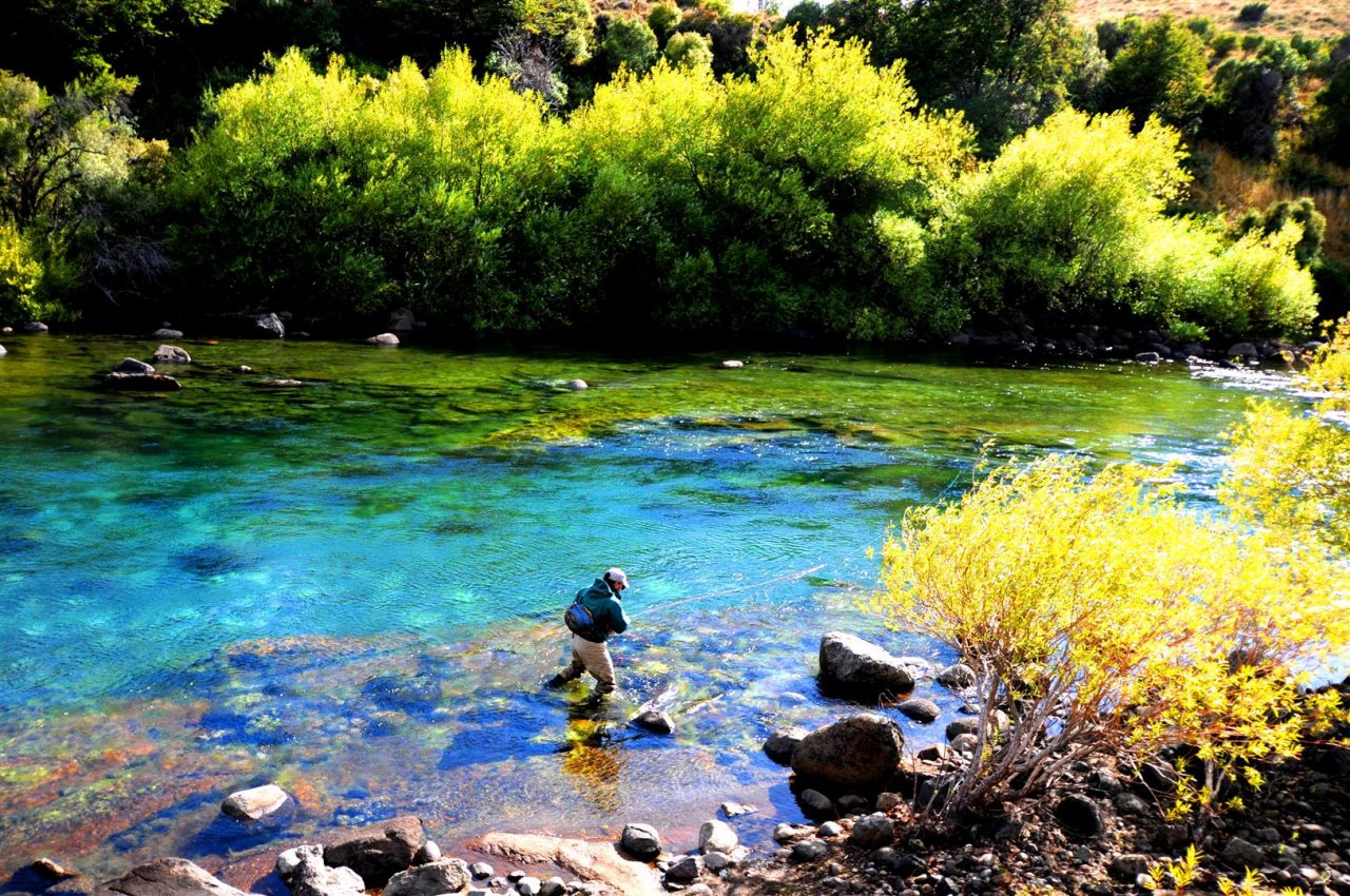 Bushes pool. Chimehuin river