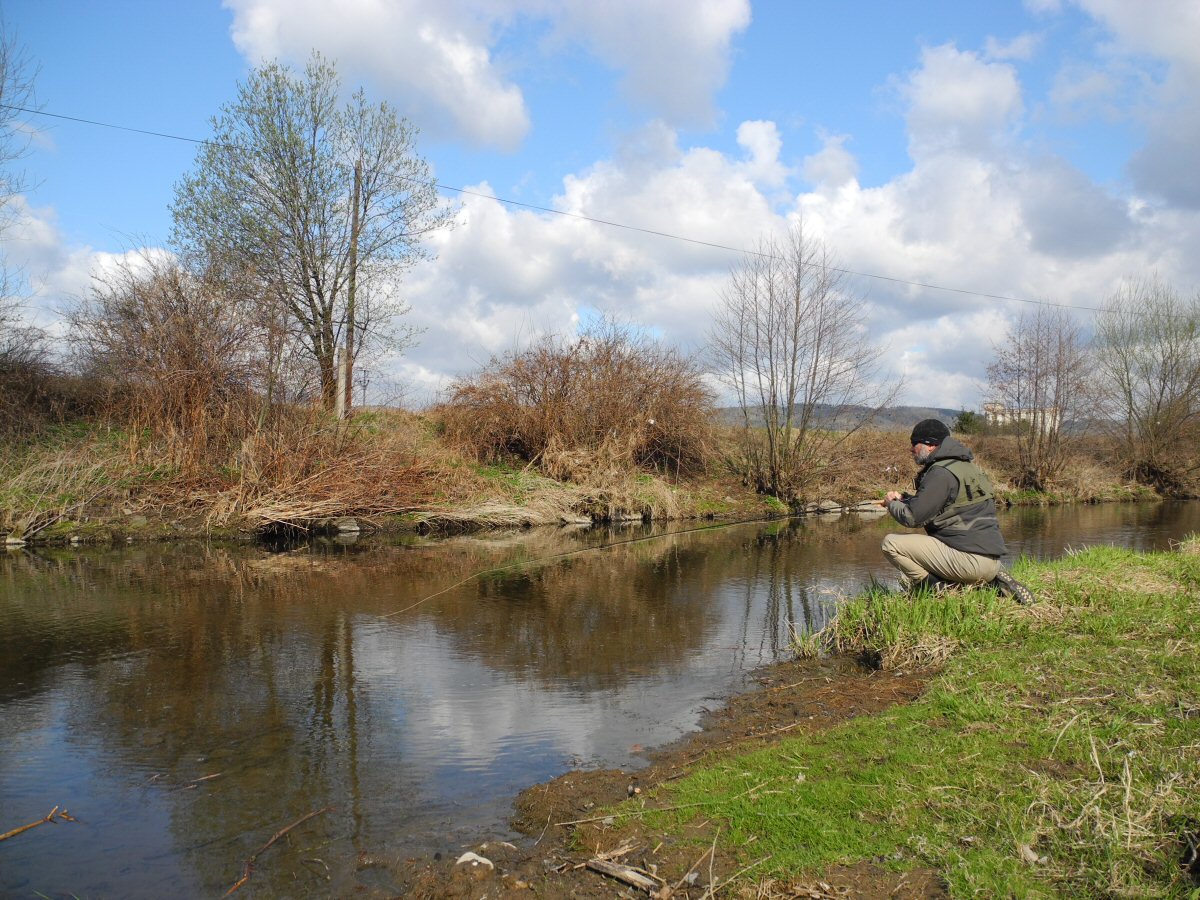Fishing promising pool