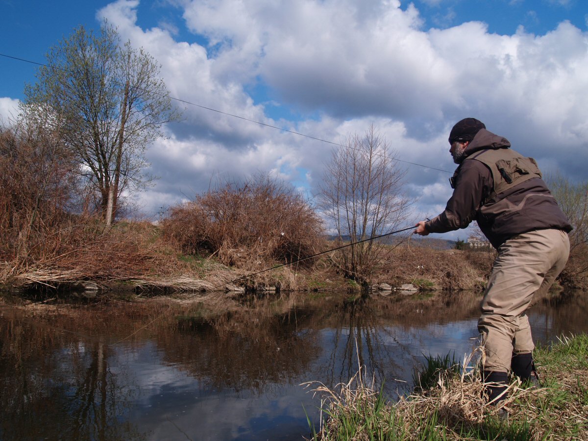 Fishing promising pool