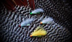 U sv�r��ku - AR Gentle Sparkler