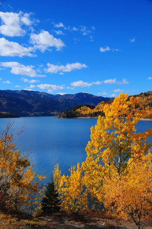 Fall Colors, Palisades Reservoir with some fall colors just before Alpine Junction, Wyoming, The drive from Alpine Junction has a lot of scenery, fishing and site seeing opportunities.