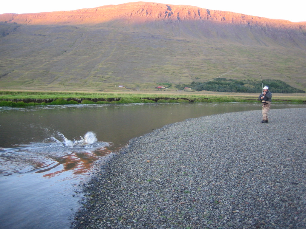 The fight coming to an end on the Vatnsdalsa River