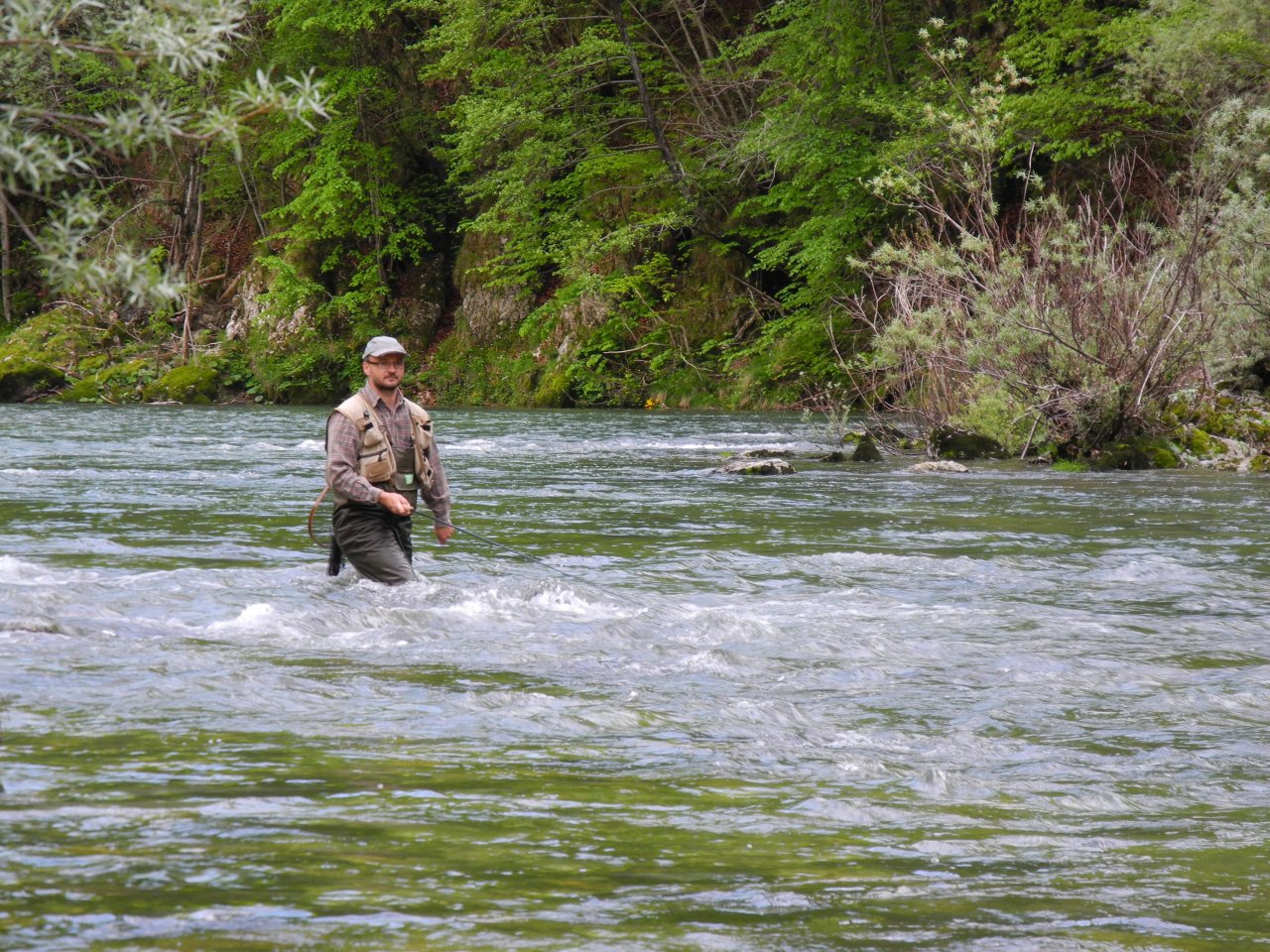 Streamer fishing on Idrijca