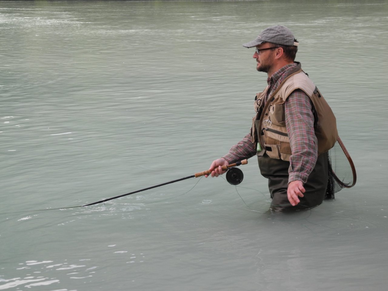Fishing in the milk soup