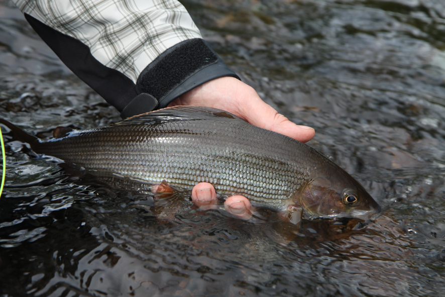 Swedish Lapland - Kaitum