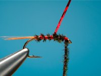 Vzac postup - Diawl Bach (blk)