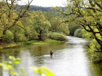Mukaen - Unica, Slovenia