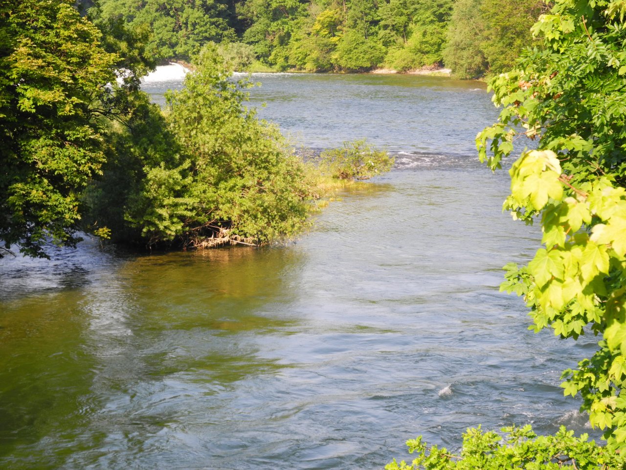 Picture from the bridge in Steyrerm�hl