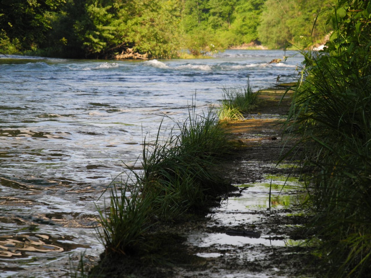 Picture from below the bridge in Steyrerm�hl