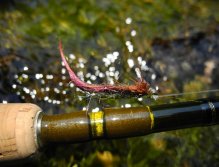 Another good streamer