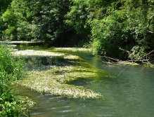 A beautifull small creek