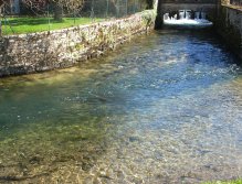 A small creek in a Small village. Haute Marne in the North East of France