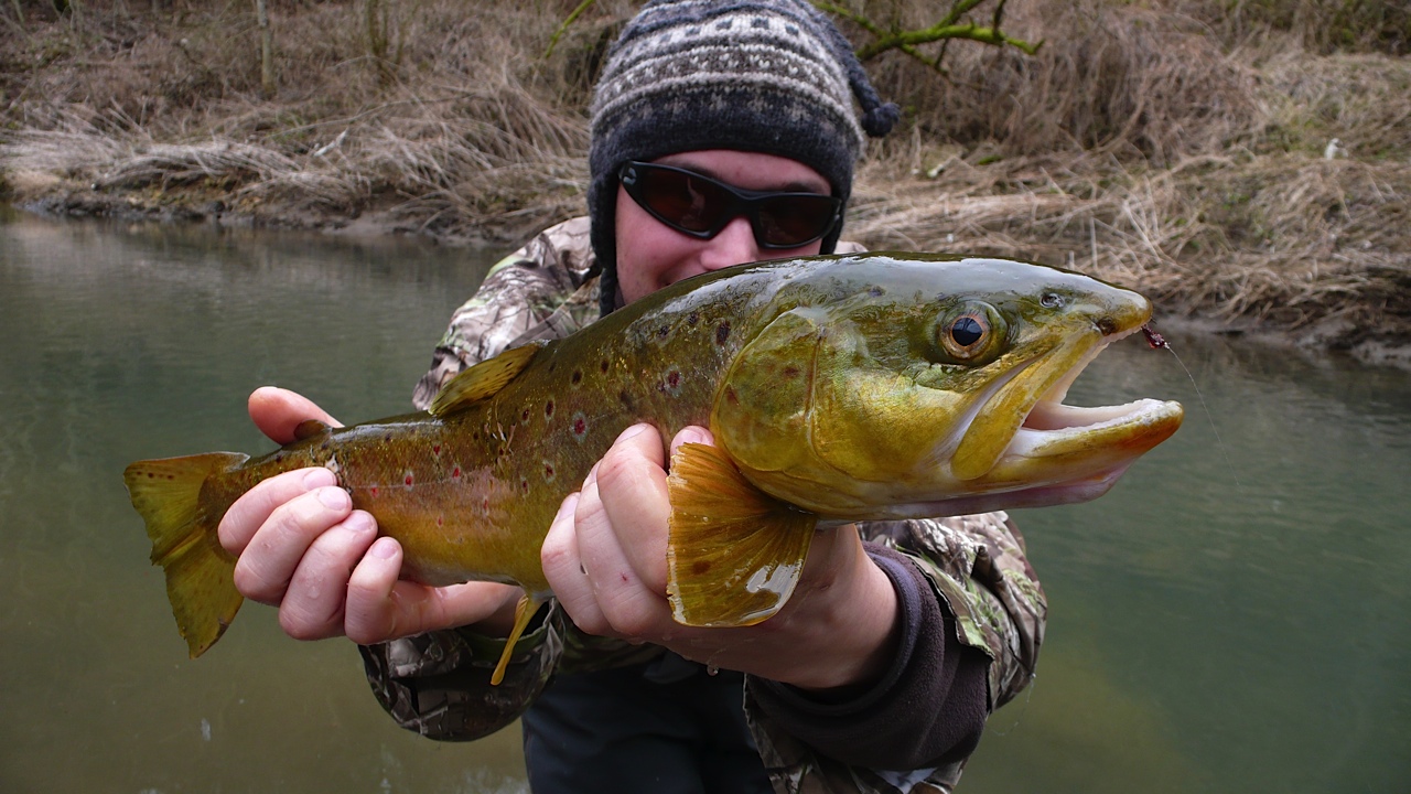 At the beginning of the season in a small creek