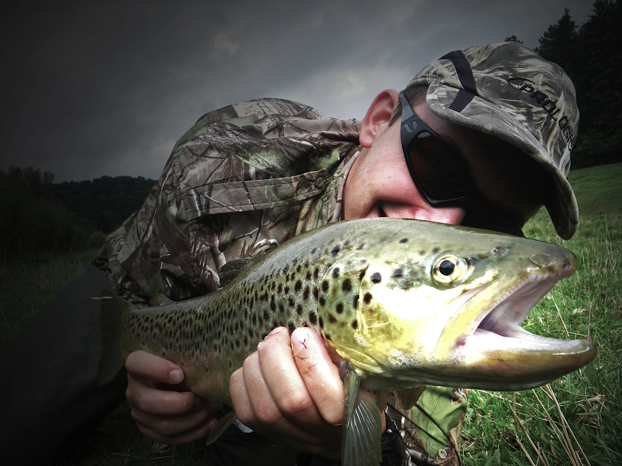 No spot. Here a special color french trout catched in a small creek with my favorite streamer