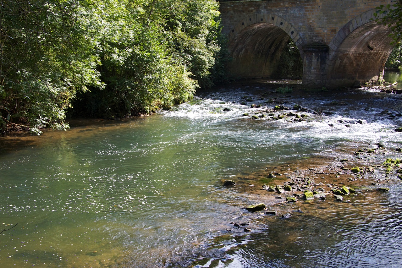 One of my best rivers in the North East of France