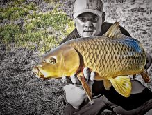 Taming the Cautious Carp