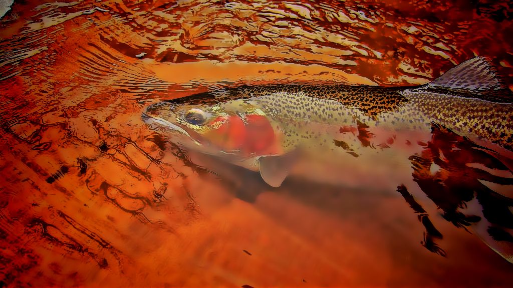 Just One More Cast...