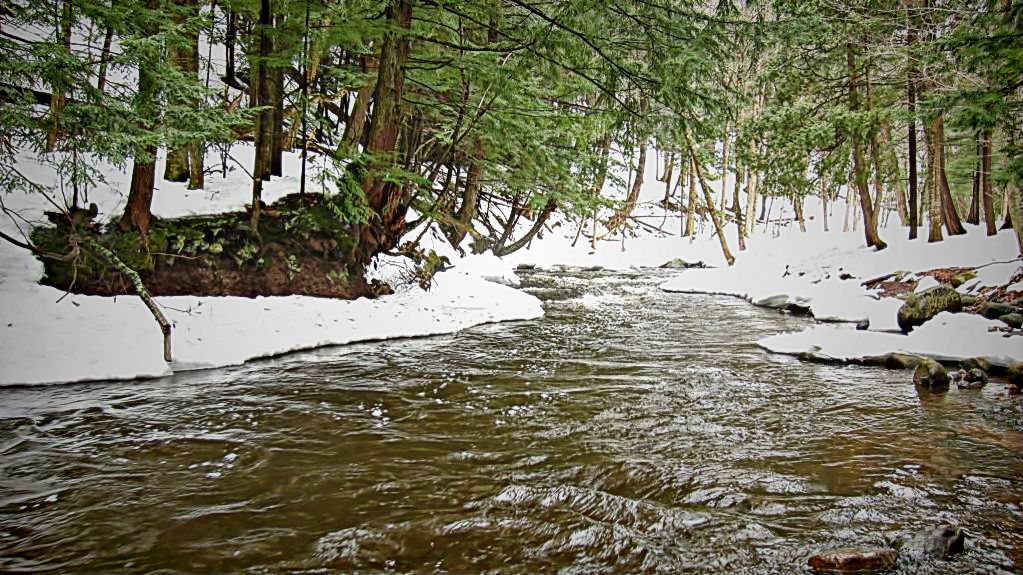 The Hidden Treasures of the U.P.