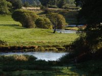 Welsh Dee, late summer