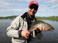 Swedish Lapland - Rostu