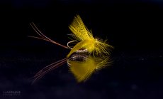 26th Slovenian Open fly tying Championship 2013