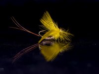 26th Slovenian Open fly tying Championship 2013