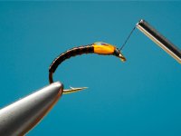 Vzac postup - Flexi Buzzer