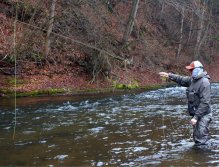 Soustředěný muškař