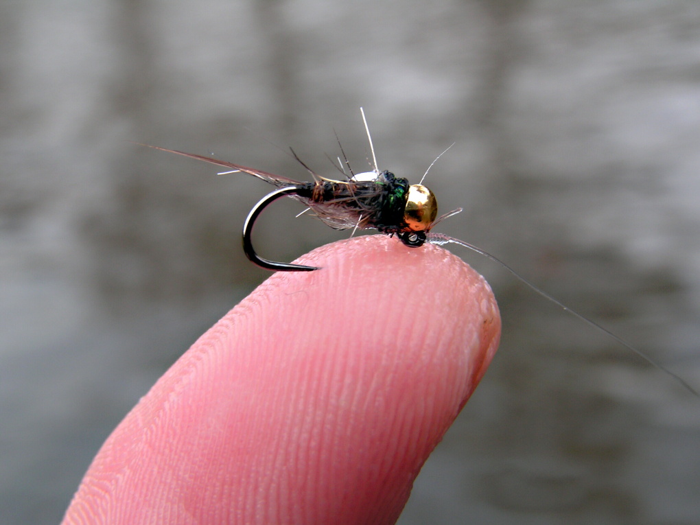 Detail �sp�n� mu�ky