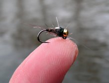 Detail úspěšné mušky